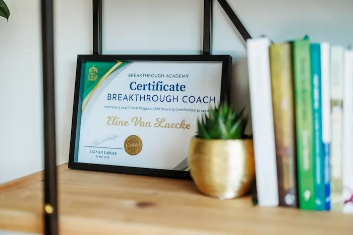 Eline_Van_Laecke_Waar het over gaat Eline_Van_Laecke_Waar het over gaat